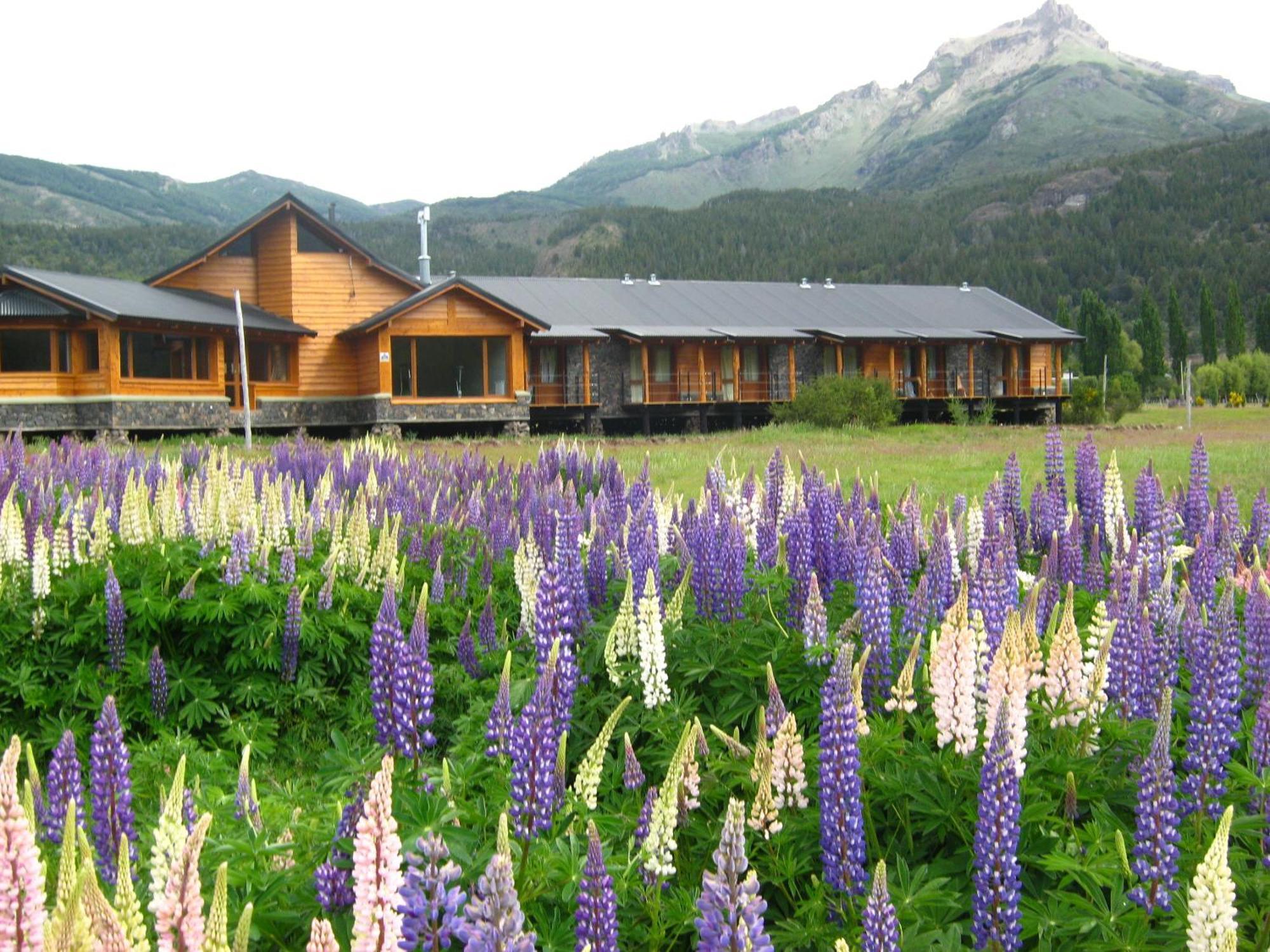 Hosteria Ruca Kitai Villa Lago Rivadavia Buitenkant foto